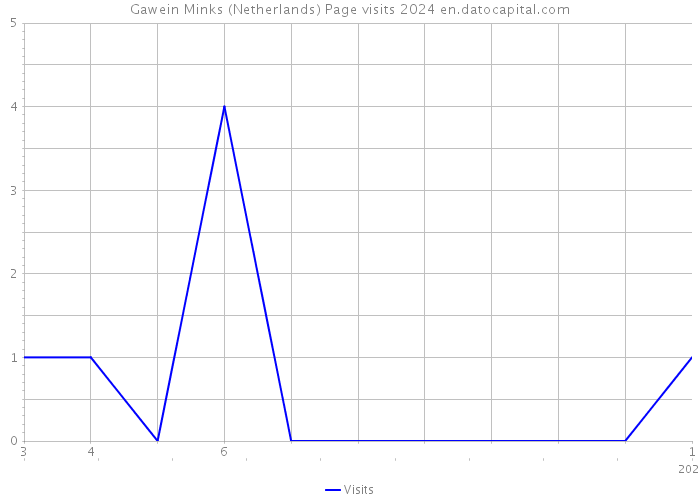 Gawein Minks (Netherlands) Page visits 2024 