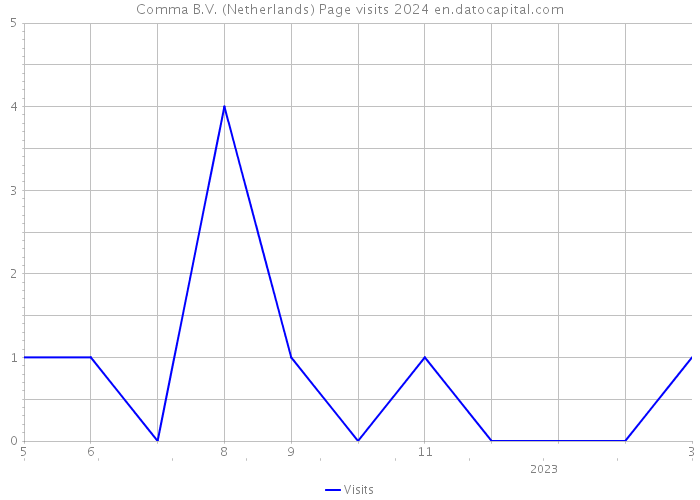 Comma B.V. (Netherlands) Page visits 2024 