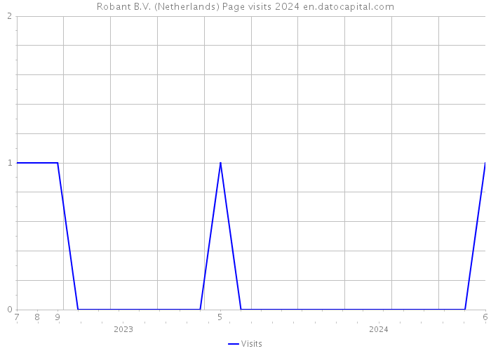 Robant B.V. (Netherlands) Page visits 2024 