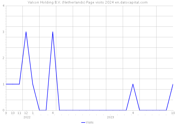 Valcon Holding B.V. (Netherlands) Page visits 2024 