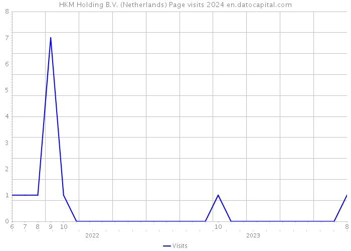HKM Holding B.V. (Netherlands) Page visits 2024 