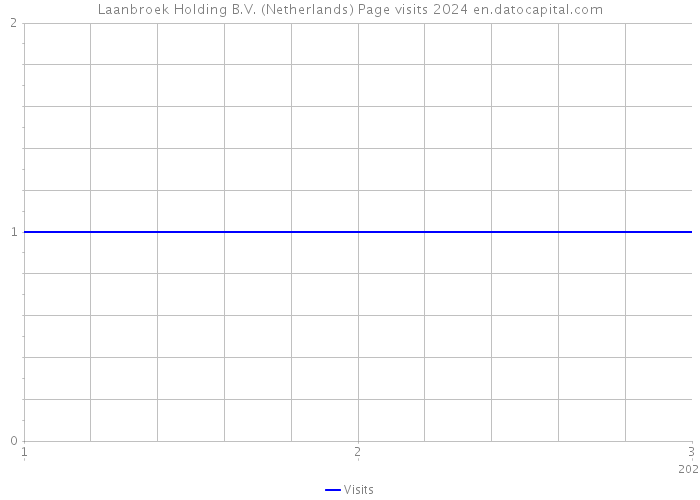 Laanbroek Holding B.V. (Netherlands) Page visits 2024 