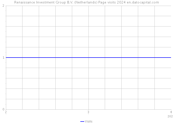 Renaissance Investment Group B.V. (Netherlands) Page visits 2024 