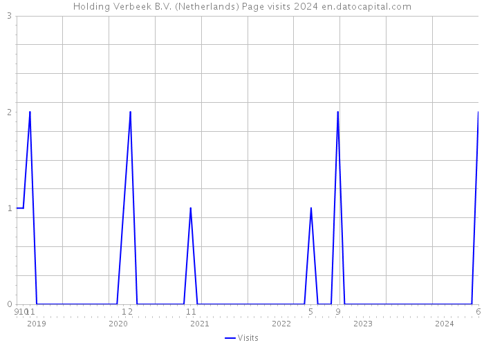 Holding Verbeek B.V. (Netherlands) Page visits 2024 