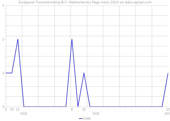 Zuidgeest Tussenholding B.V. (Netherlands) Page visits 2024 