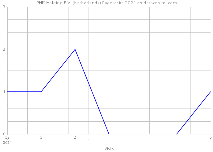 PHI² Holding B.V. (Netherlands) Page visits 2024 