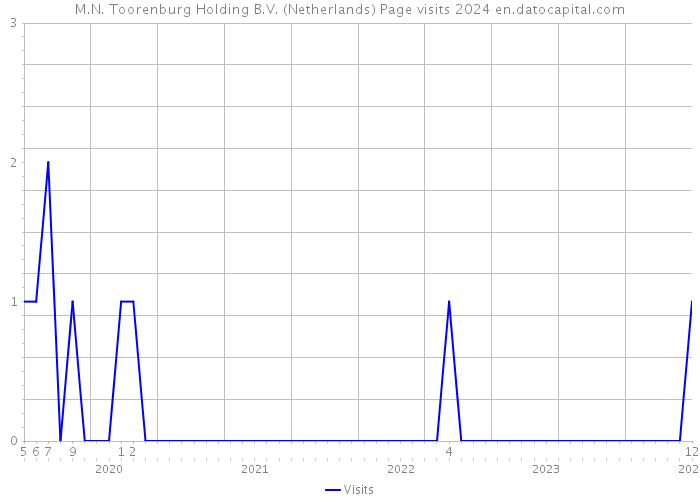 M.N. Toorenburg Holding B.V. (Netherlands) Page visits 2024 