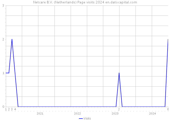 Netcare B.V. (Netherlands) Page visits 2024 