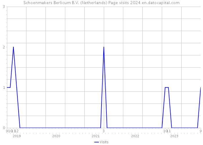 Schoenmakers Berlicum B.V. (Netherlands) Page visits 2024 