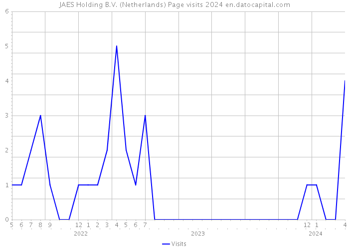 JAES Holding B.V. (Netherlands) Page visits 2024 