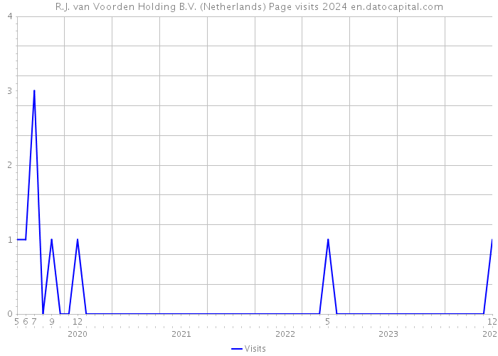 R.J. van Voorden Holding B.V. (Netherlands) Page visits 2024 