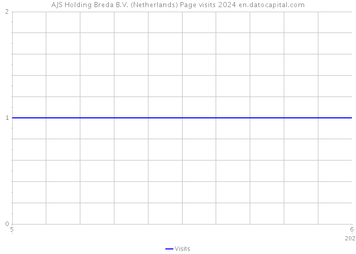 AJS Holding Breda B.V. (Netherlands) Page visits 2024 