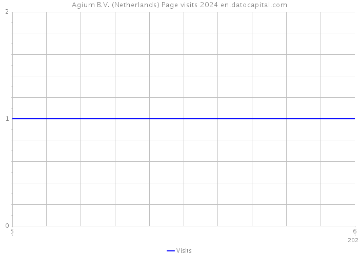 Agium B.V. (Netherlands) Page visits 2024 
