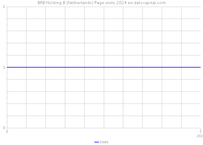 BRB Holding B (Netherlands) Page visits 2024 