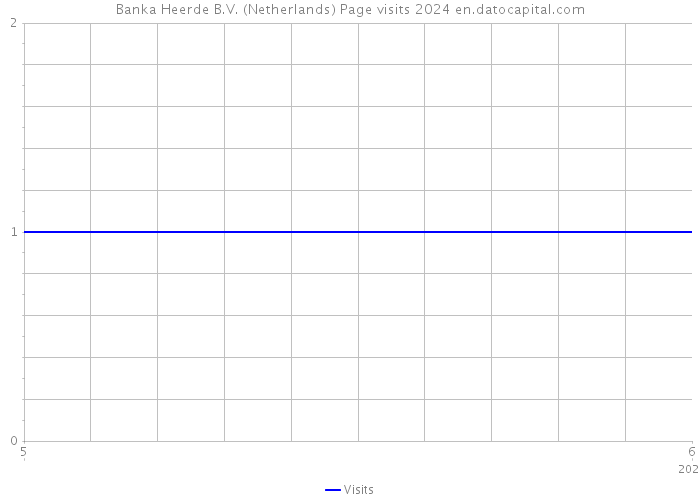 Banka Heerde B.V. (Netherlands) Page visits 2024 