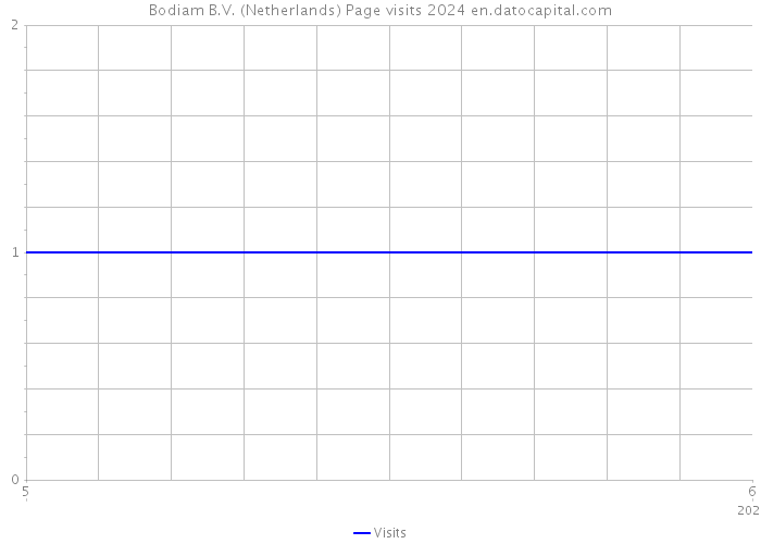 Bodiam B.V. (Netherlands) Page visits 2024 