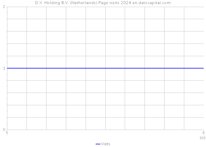 D X Holding B.V. (Netherlands) Page visits 2024 