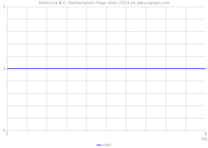 Multicore B.V. (Netherlands) Page visits 2024 