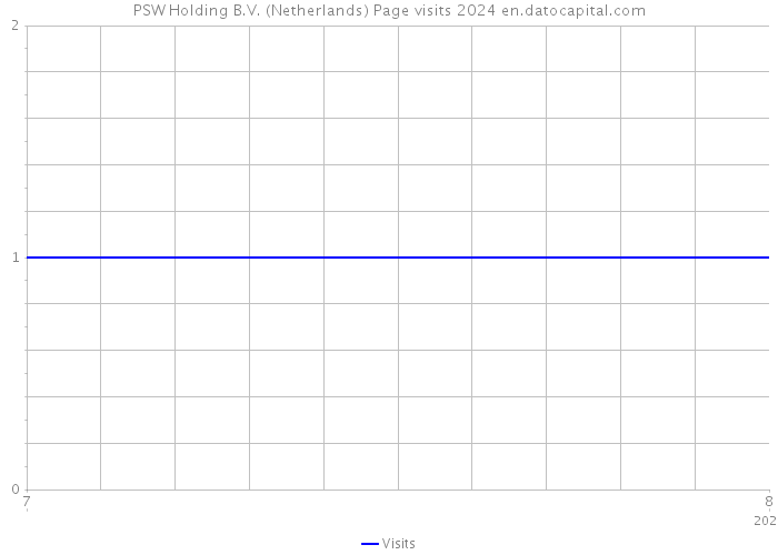 PSW Holding B.V. (Netherlands) Page visits 2024 