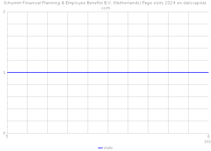 Schumm Financial Planning & Employee Benefits B.V. (Netherlands) Page visits 2024 