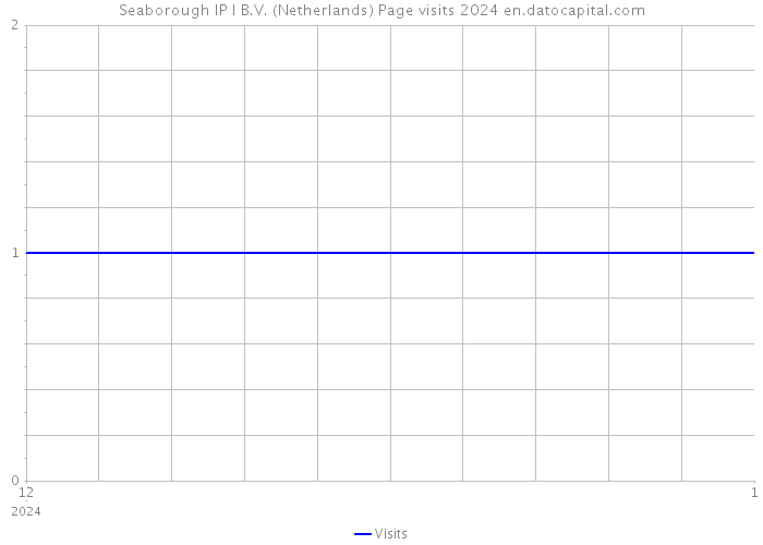 Seaborough IP I B.V. (Netherlands) Page visits 2024 