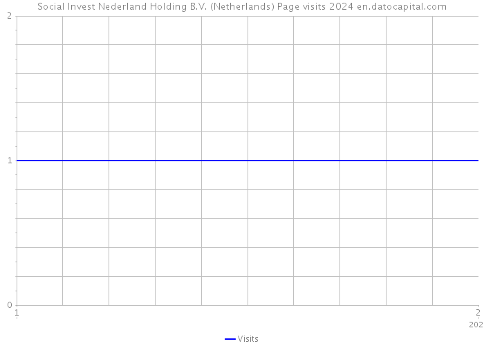 Social Invest Nederland Holding B.V. (Netherlands) Page visits 2024 