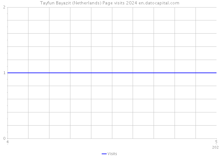Tayfun Bayazit (Netherlands) Page visits 2024 