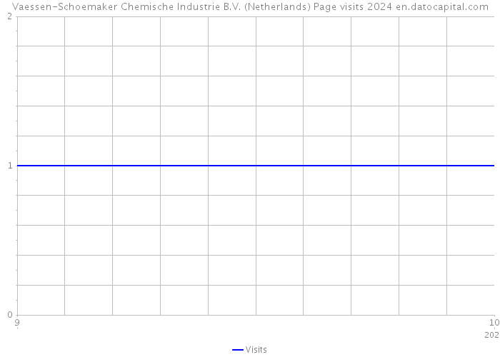 Vaessen-Schoemaker Chemische Industrie B.V. (Netherlands) Page visits 2024 