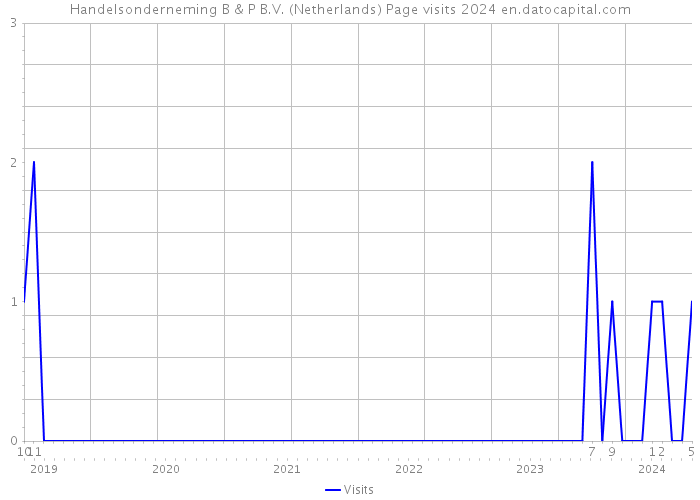 Handelsonderneming B & P B.V. (Netherlands) Page visits 2024 