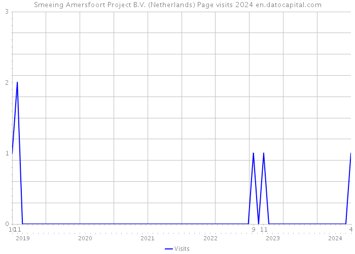 Smeeing Amersfoort Project B.V. (Netherlands) Page visits 2024 