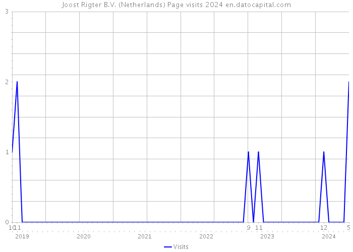 Joost Rigter B.V. (Netherlands) Page visits 2024 