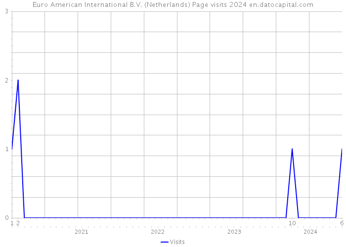 Euro American International B.V. (Netherlands) Page visits 2024 