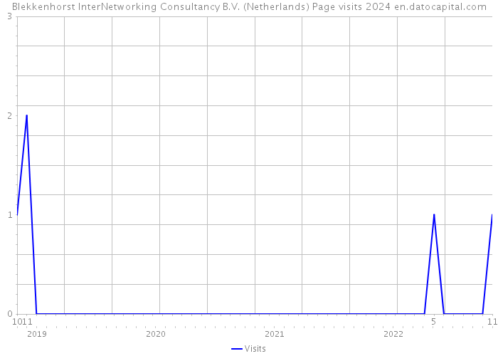Blekkenhorst InterNetworking Consultancy B.V. (Netherlands) Page visits 2024 