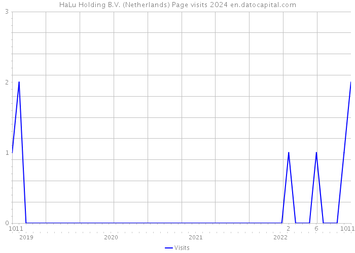 HaLu Holding B.V. (Netherlands) Page visits 2024 