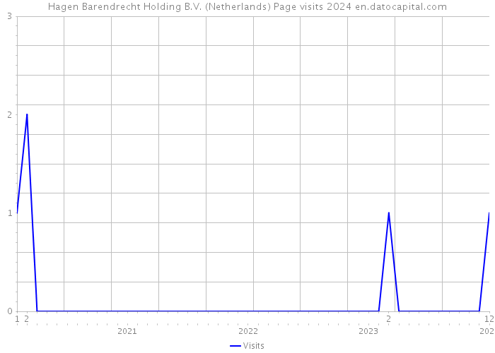 Hagen Barendrecht Holding B.V. (Netherlands) Page visits 2024 