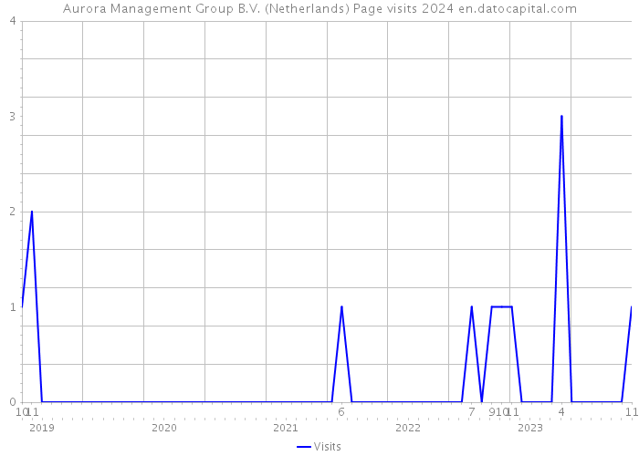 Aurora Management Group B.V. (Netherlands) Page visits 2024 