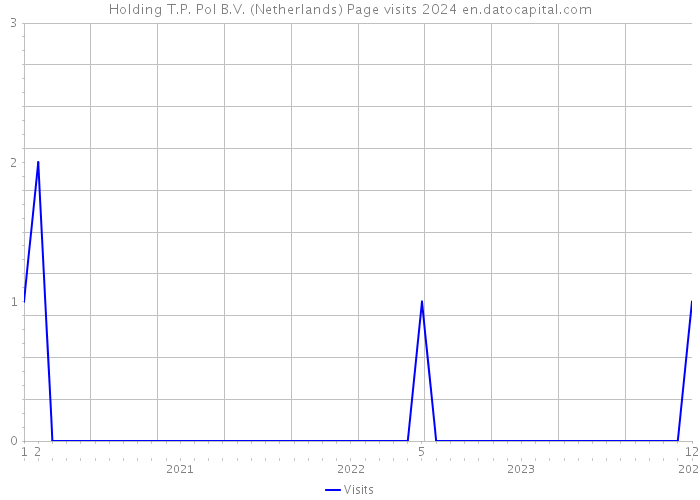 Holding T.P. Pol B.V. (Netherlands) Page visits 2024 