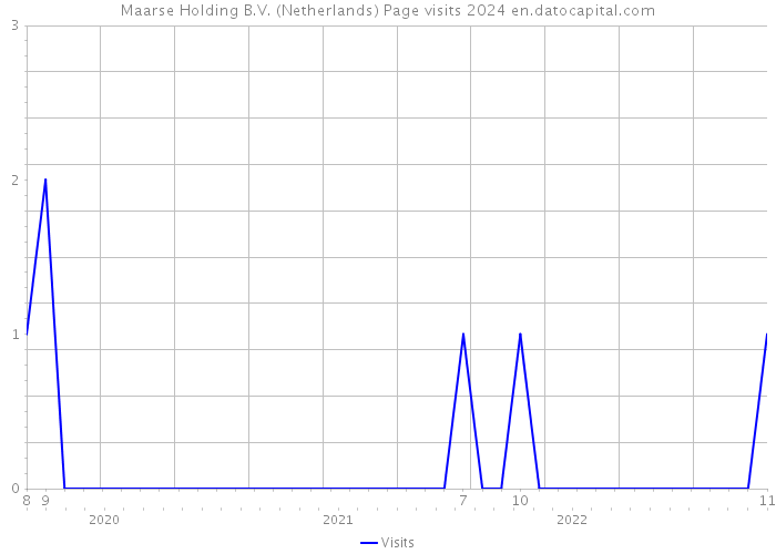 Maarse Holding B.V. (Netherlands) Page visits 2024 