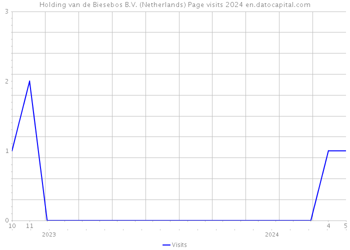Holding van de Biesebos B.V. (Netherlands) Page visits 2024 