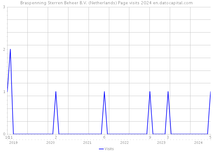 Braspenning Sterren Beheer B.V. (Netherlands) Page visits 2024 