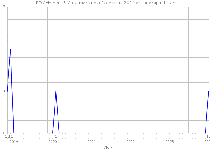 RDV Holding B.V. (Netherlands) Page visits 2024 