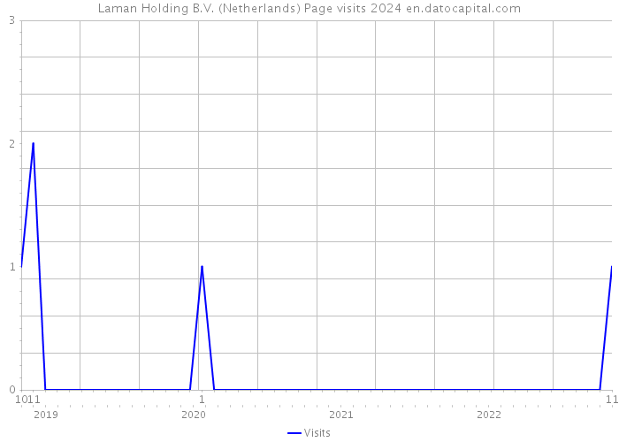 Laman Holding B.V. (Netherlands) Page visits 2024 