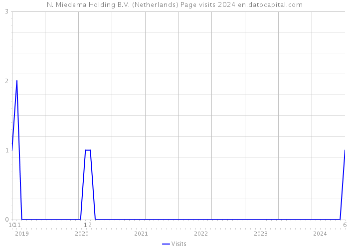N. Miedema Holding B.V. (Netherlands) Page visits 2024 