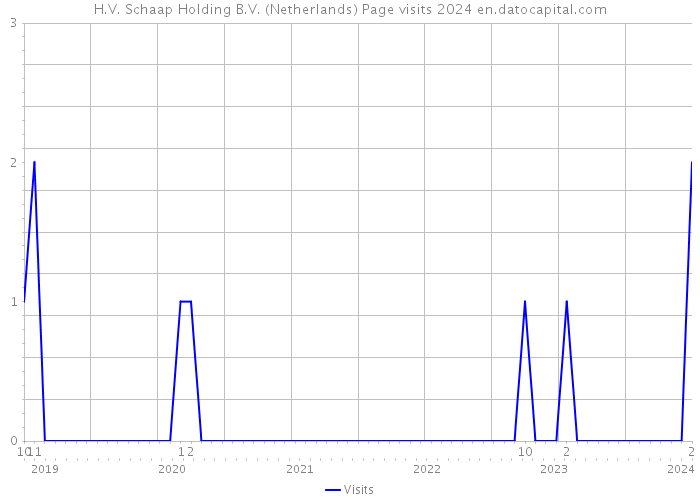 H.V. Schaap Holding B.V. (Netherlands) Page visits 2024 