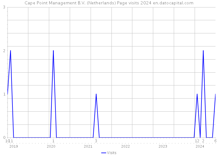 Cape Point Management B.V. (Netherlands) Page visits 2024 