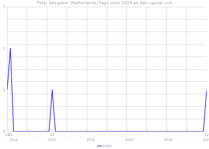 Peter Salzgeber (Netherlands) Page visits 2024 