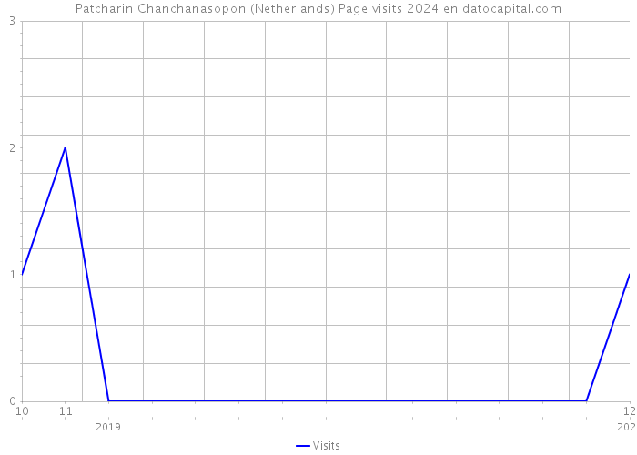 Patcharin Chanchanasopon (Netherlands) Page visits 2024 