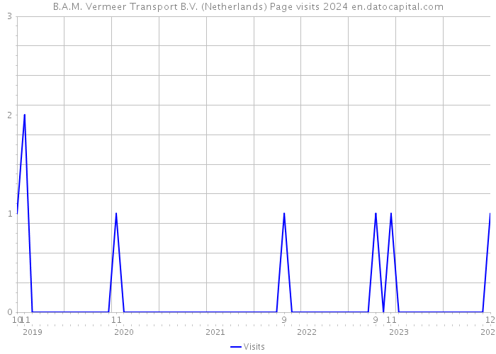 B.A.M. Vermeer Transport B.V. (Netherlands) Page visits 2024 