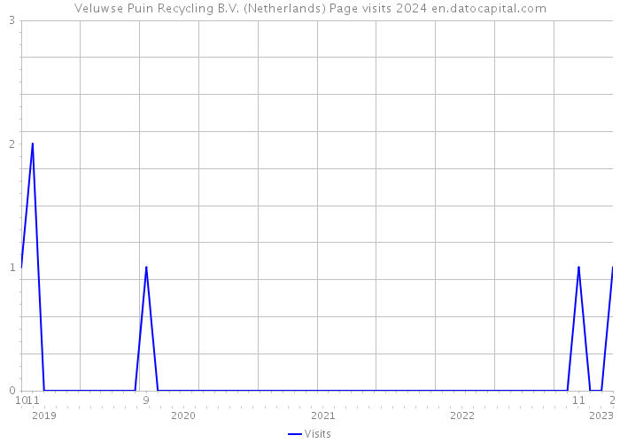 Veluwse Puin Recycling B.V. (Netherlands) Page visits 2024 