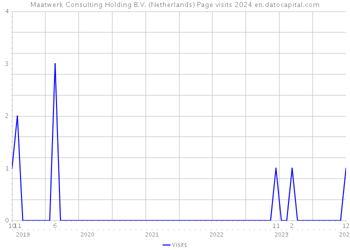 Maatwerk Consulting Holding B.V. (Netherlands) Page visits 2024 